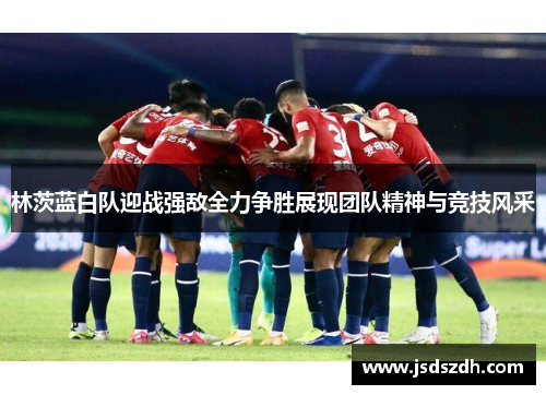 林茨蓝白队迎战强敌全力争胜展现团队精神与竞技风采 林茨蓝白队迎战强敌全力争胜展现团队精神与竞技风采