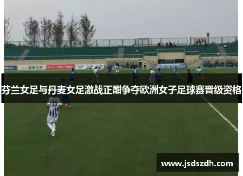 芬兰女足与丹麦女足激战正酣争夺欧洲女子足球赛晋级资格